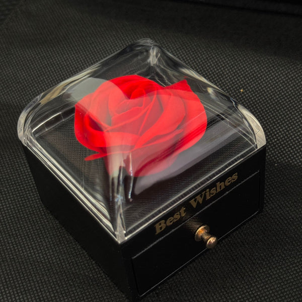 Whisper Circle Necklace